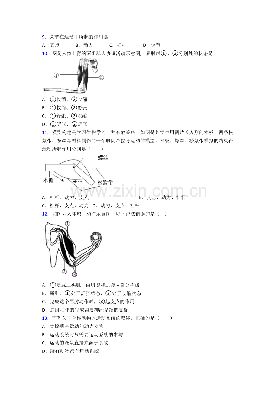 襄阳市生物八年级上册期末试卷.doc_第2页