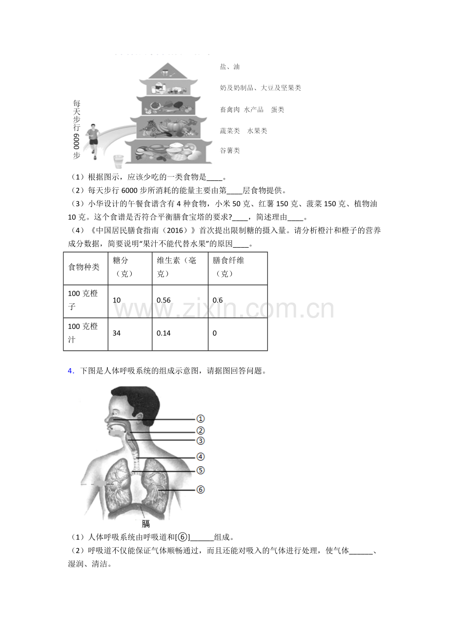 人教版七年级生物下册期末解答实验探究大题复习题及答案.doc_第2页