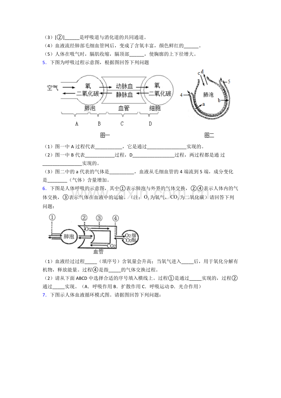 人教版七年级生物下册期末解答实验探究大题复习题及答案.doc_第3页