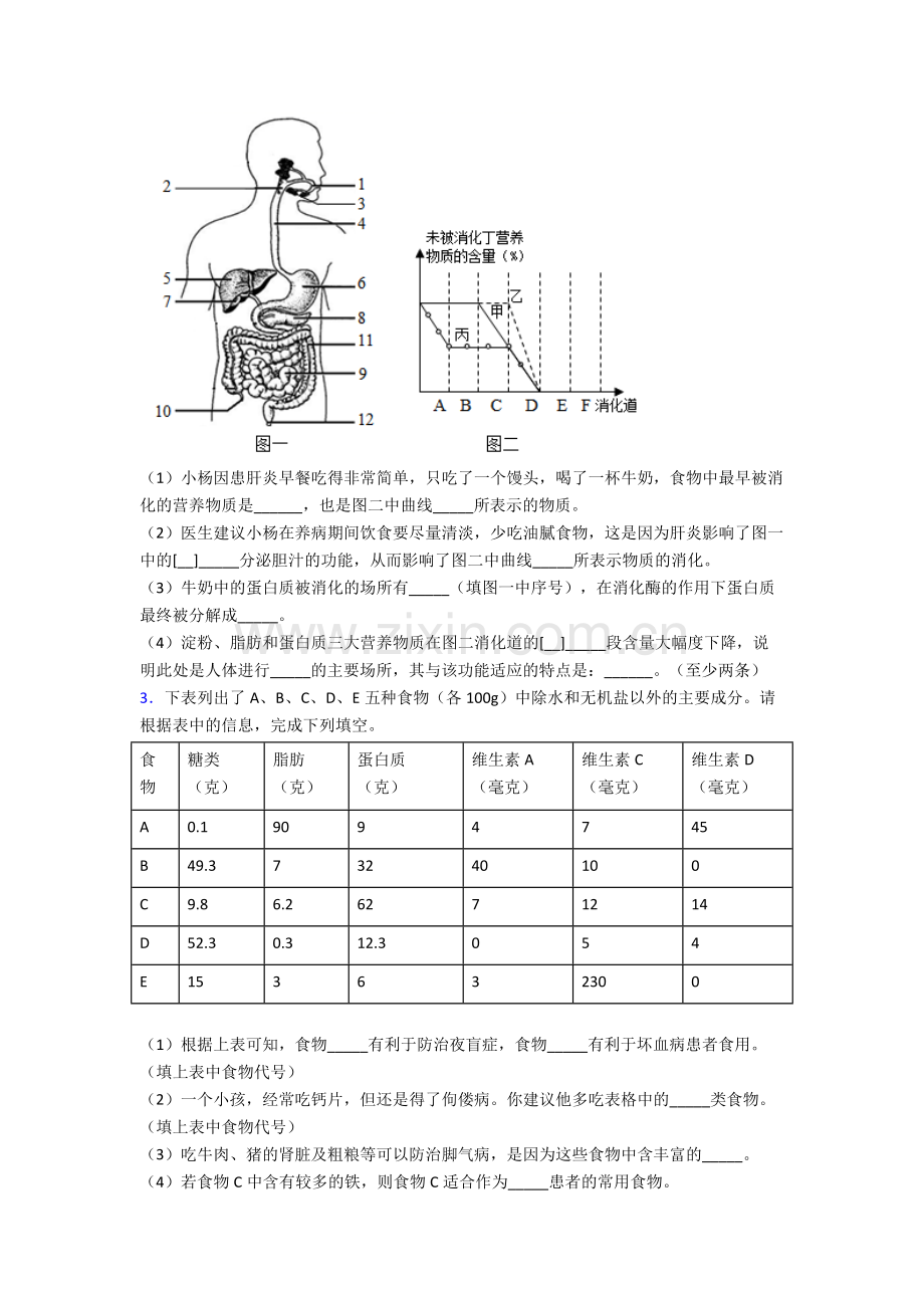 2024年人教版初一下册生物期末解答实验探究大题复习题及答案完整.doc_第2页