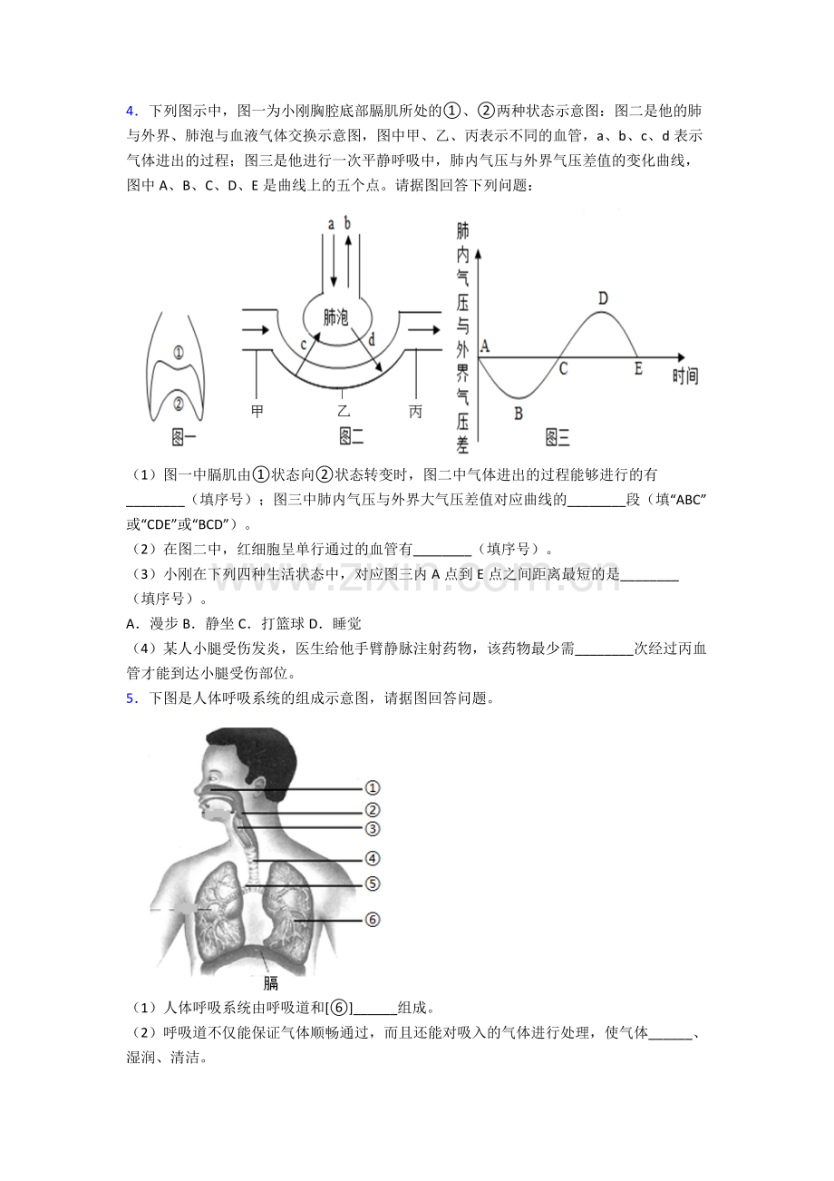 2024年人教版初一下册生物期末解答实验探究大题复习题及答案完整.doc_第3页