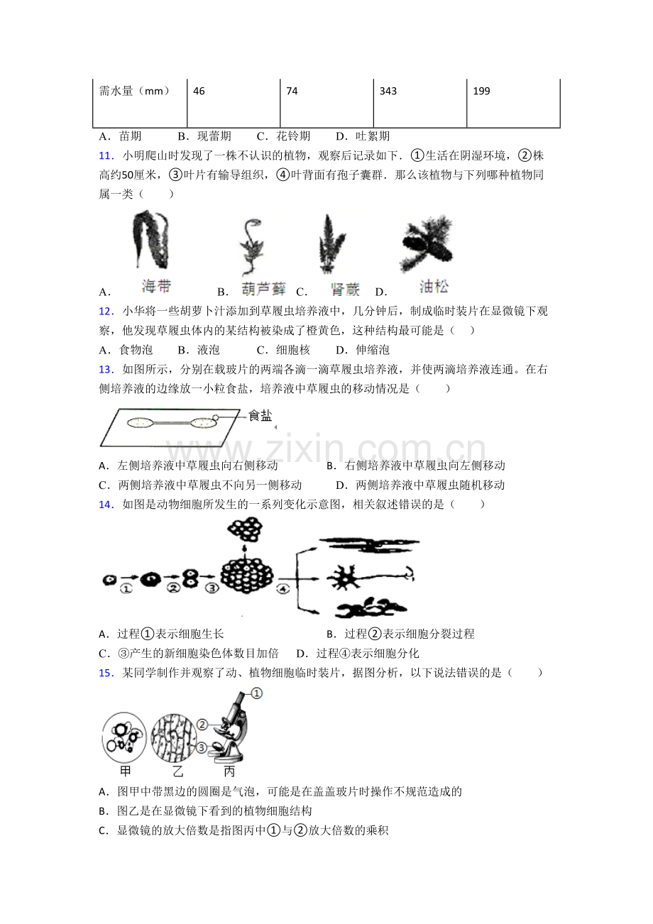 生物初一上册期末综合检测试题含答案.doc_第3页