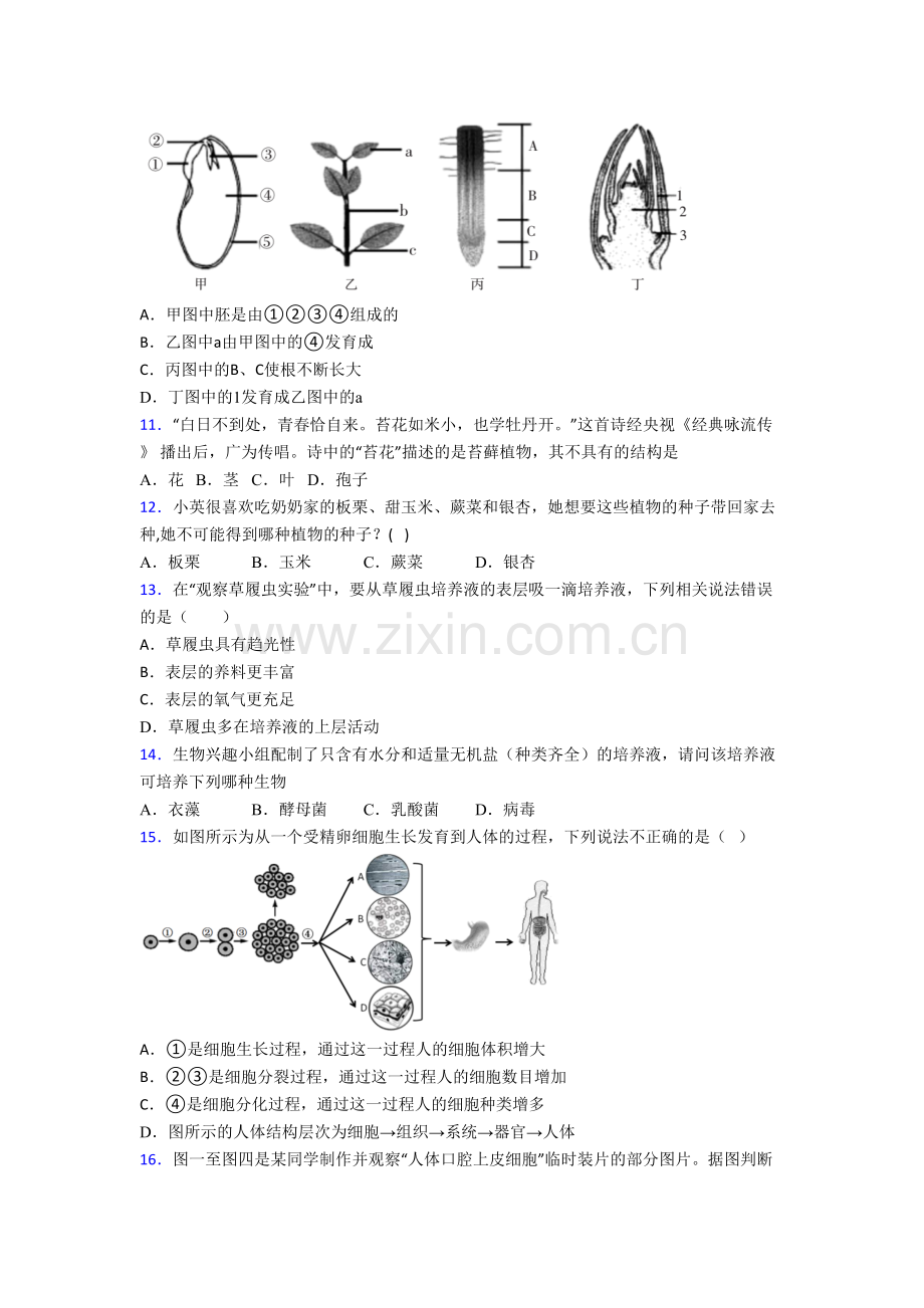 生物初一上学期期末强化检测试卷.doc_第3页