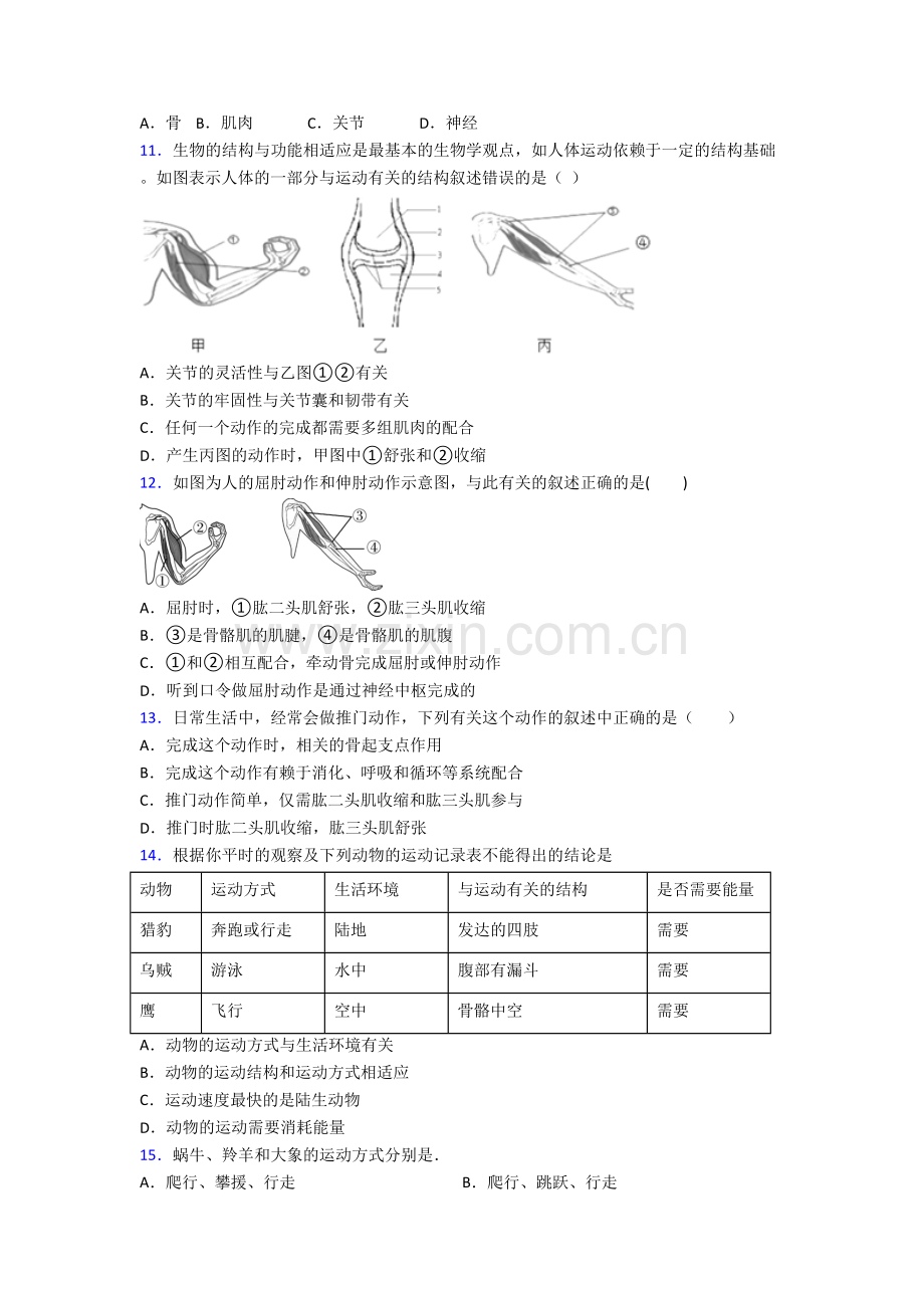 生物初二上学期期末模拟综合检测试题答案.doc_第2页