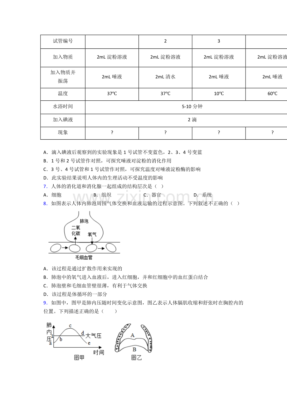 2022年人教版初一下册生物期中学业水平卷附答案word.doc_第2页