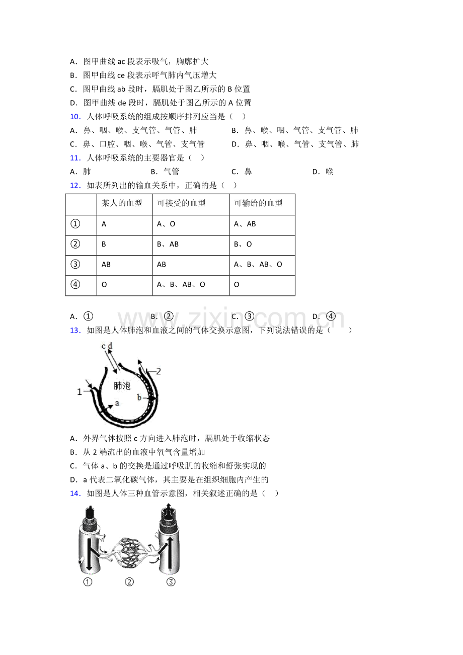 2022年人教版初一下册生物期中学业水平卷附答案word.doc_第3页