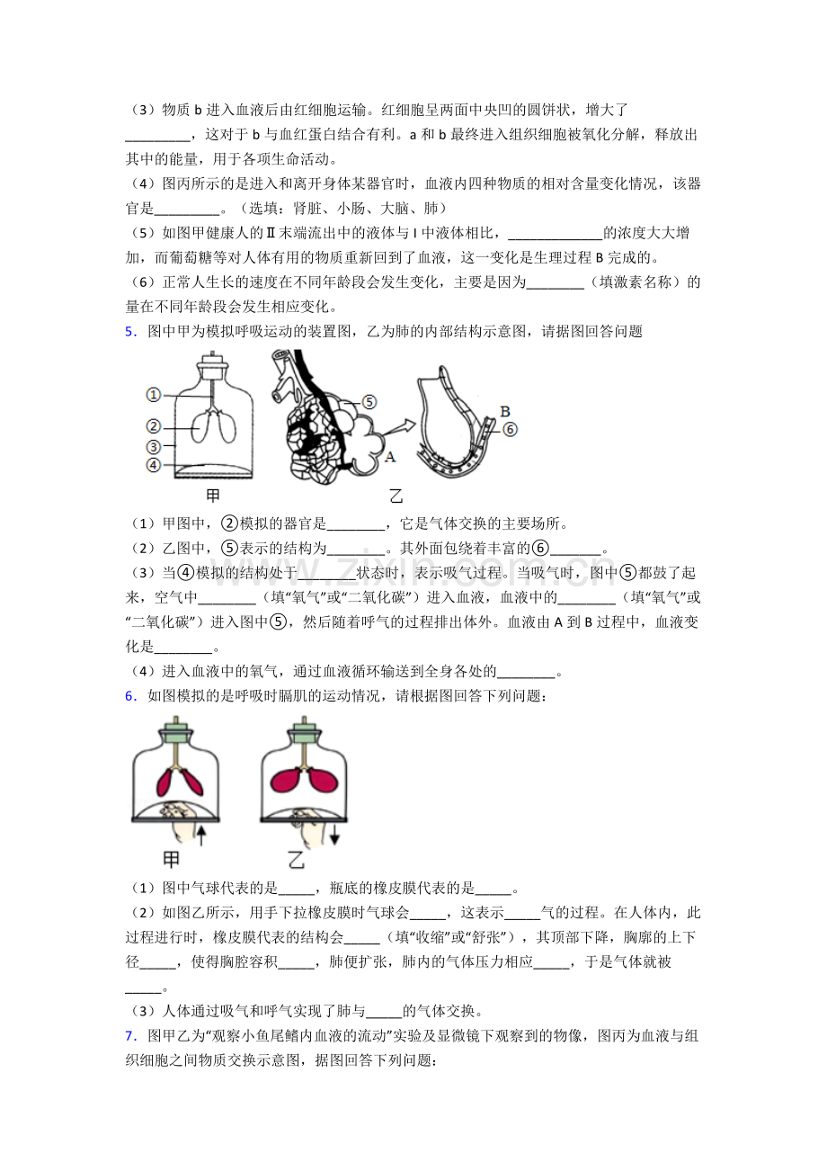 人教版中学初一下册生物期末解答实验探究大题质量检测试卷附答案大全.doc_第3页