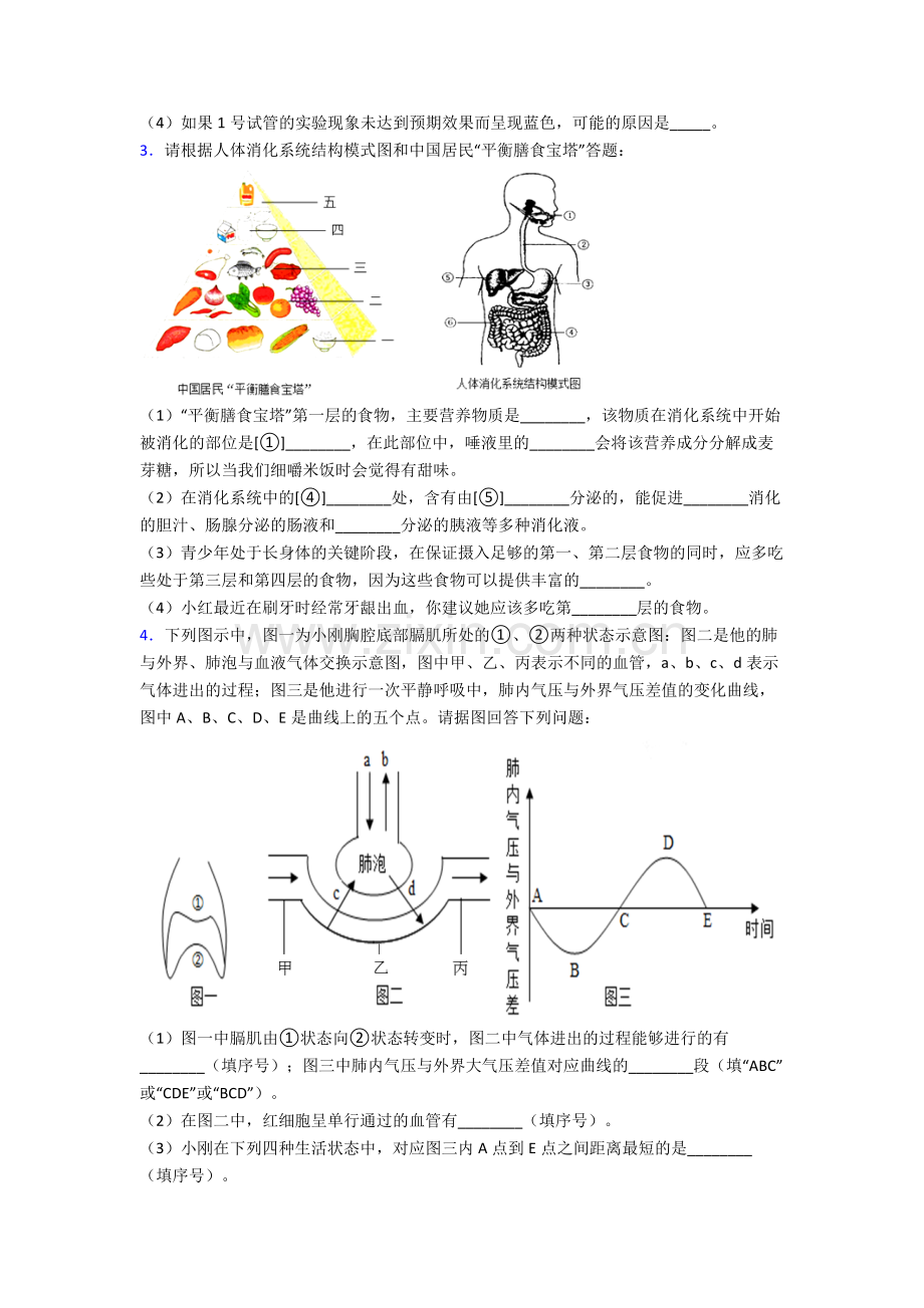 人教版中学七年级下册生物期末解答实验探究大题复习(附解析).doc_第2页