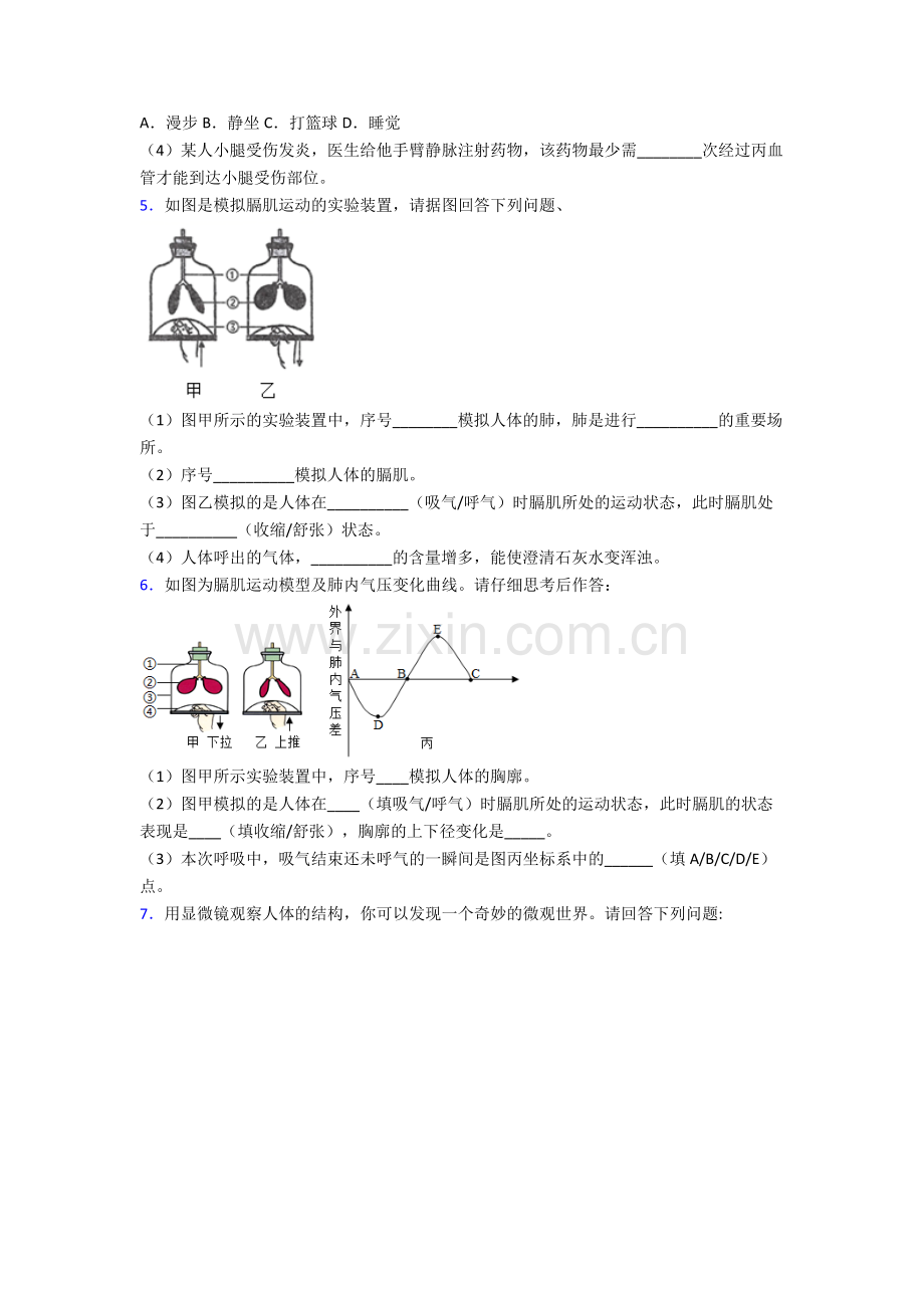 人教版中学七年级下册生物期末解答实验探究大题复习(附解析).doc_第3页