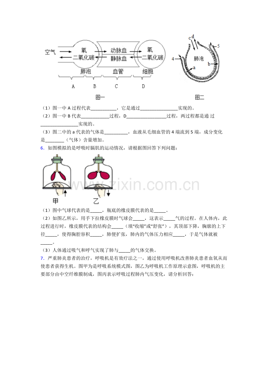 人教版初一下册生物期末解答实验探究大题复习卷(及答案)大全.doc_第3页