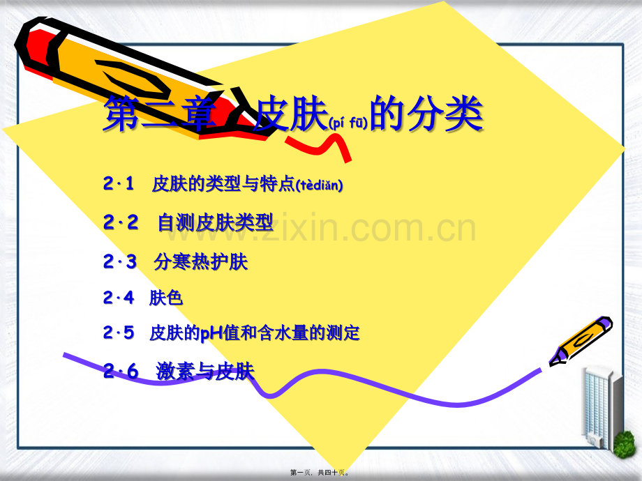 第二章--皮肤的分类.ppt_第1页