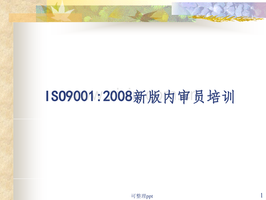 ISO90012008新版标准内审员培训.ppt_第1页