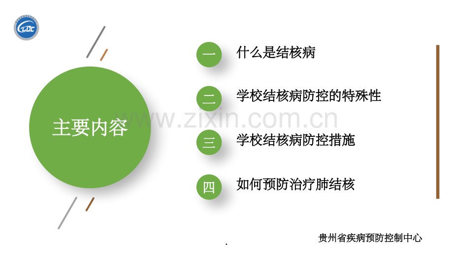 学校结核病宣传精ppt.ppt_第2页