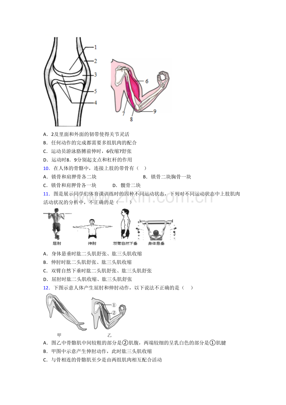 八年级生物上学期期末质量检测试题附答案.doc_第2页