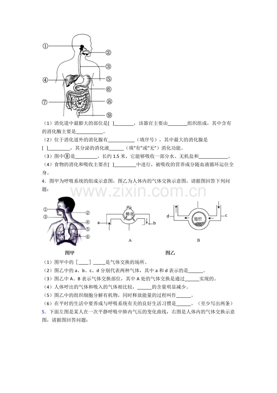 人教版中学七年级生物下册期末解答实验探究大题质量检测试卷附答案大全.doc_第2页