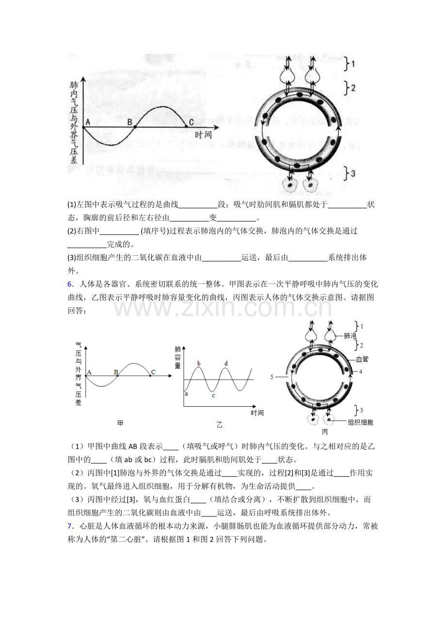 人教版中学七年级生物下册期末解答实验探究大题质量检测试卷附答案大全.doc_第3页