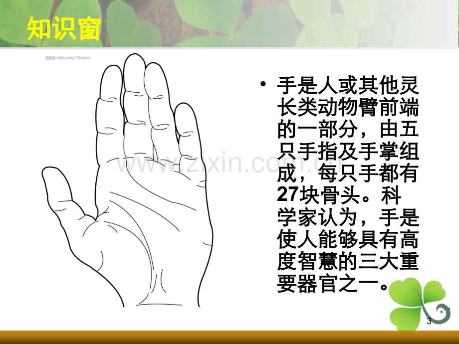 美术课会说话的手.ppt_第3页