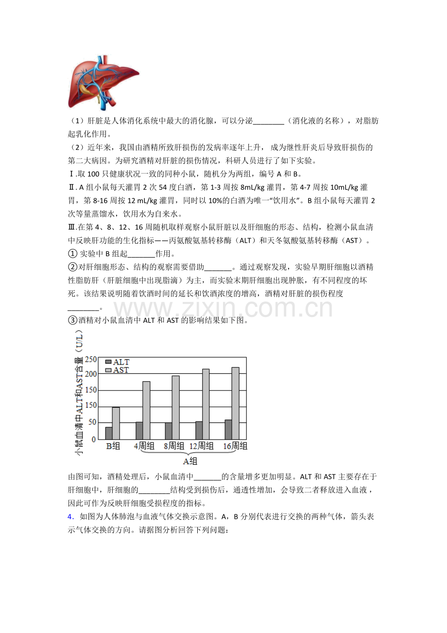 人教七年级下册生物期末解答实验探究大题质量监测卷附解析优秀.doc_第2页