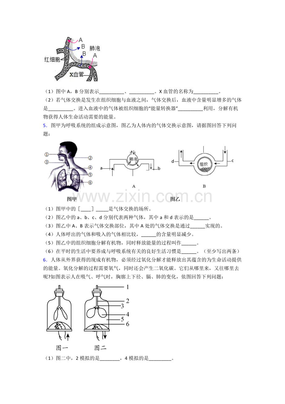 人教七年级下册生物期末解答实验探究大题质量监测卷附解析优秀.doc_第3页