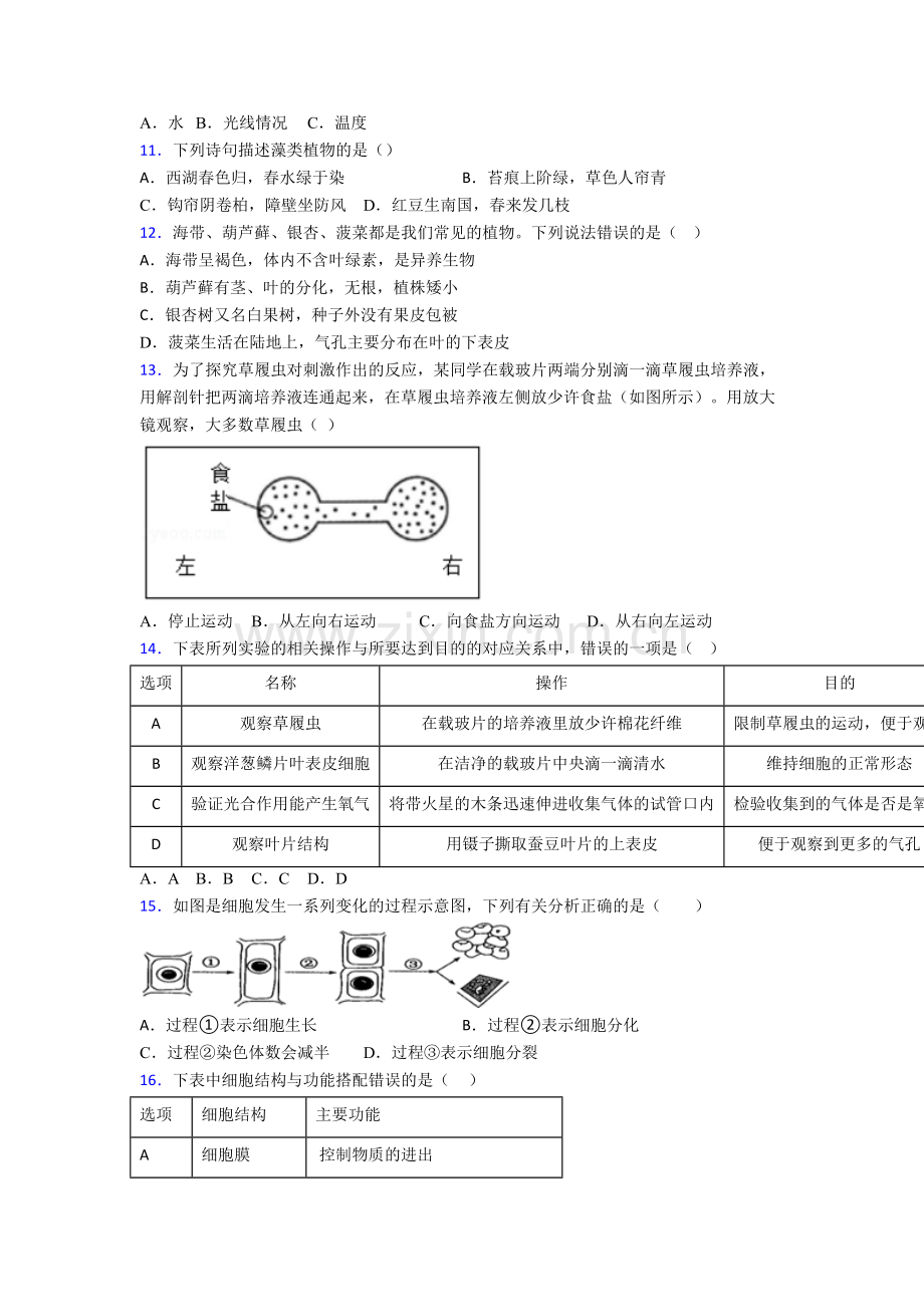 初一生物上册期末模拟综合检测试卷(-).doc_第3页