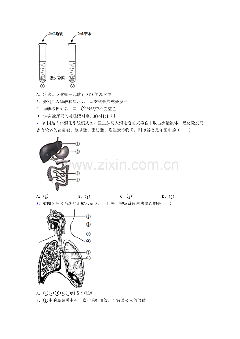 2022年人教版初一下册生物期末质量检测(附答案)经典.doc_第2页