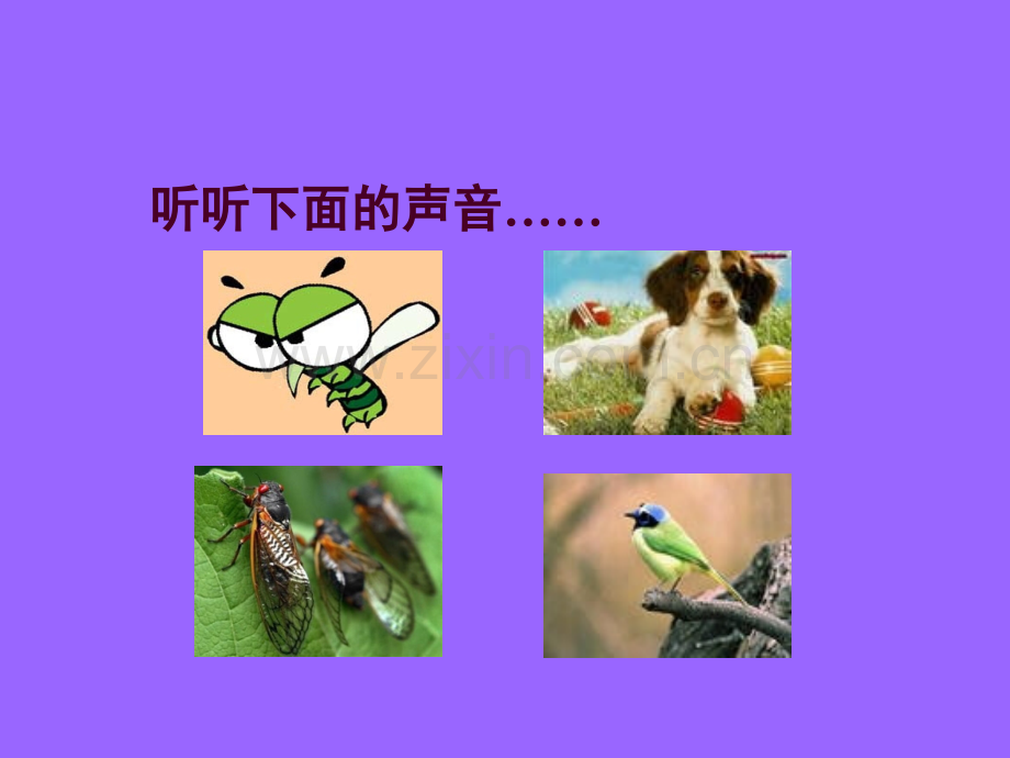 科学声音是怎样产生的.ppt_第2页