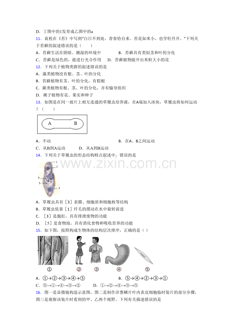 青岛青岛超银中学生物七年级上册期末试卷含答案.doc_第3页