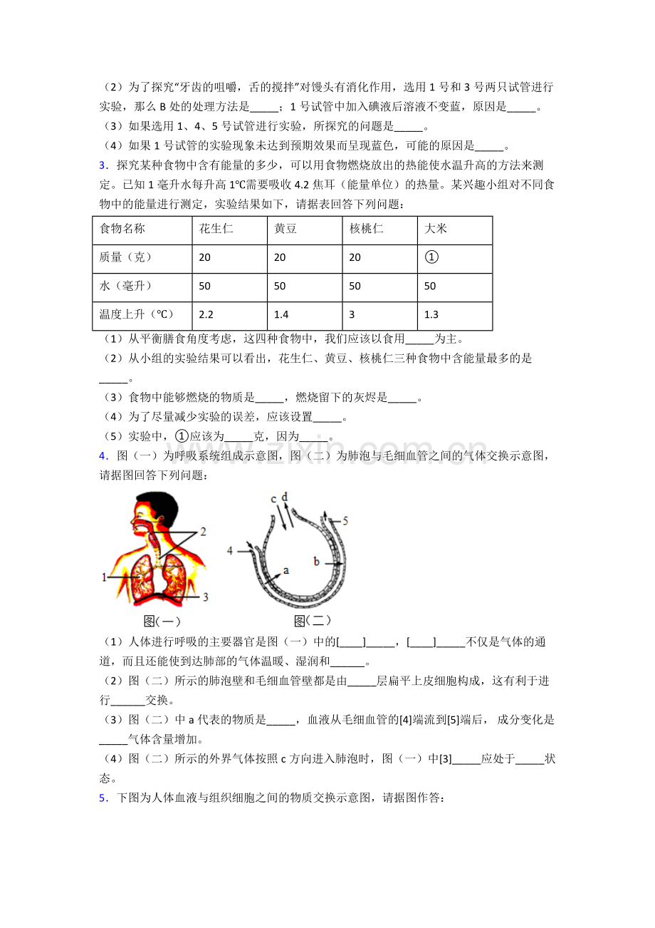 人教中学七年级下册生物期末解答实验探究大题质量检测卷(及解析)word.doc_第2页