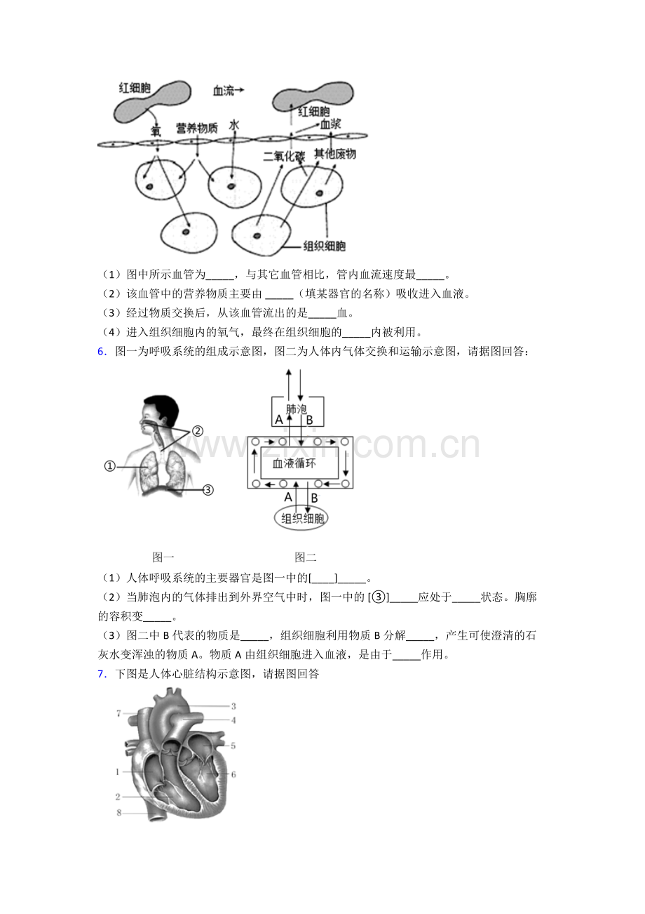 人教中学七年级下册生物期末解答实验探究大题质量检测卷(及解析)word.doc_第3页