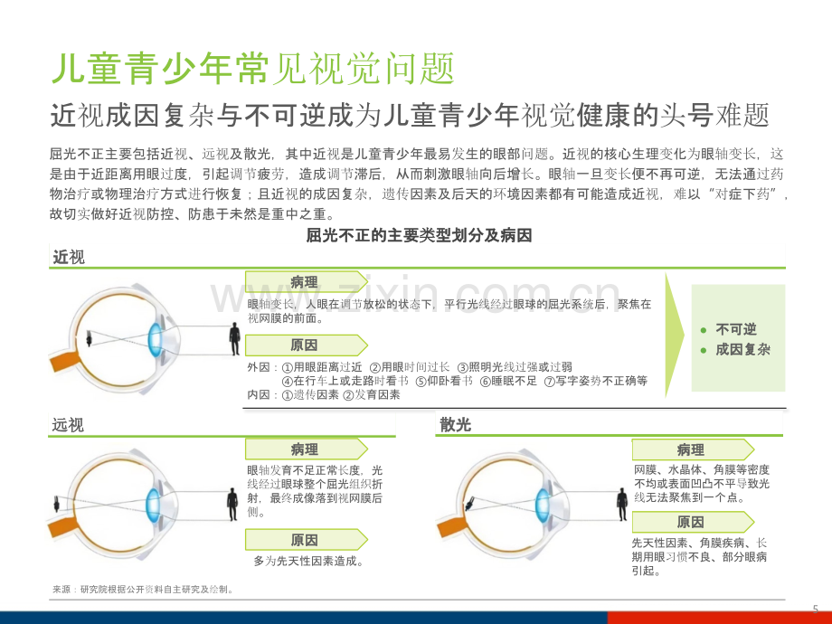 中国儿童青少年视觉健康产业竞争分析.pptx_第2页
