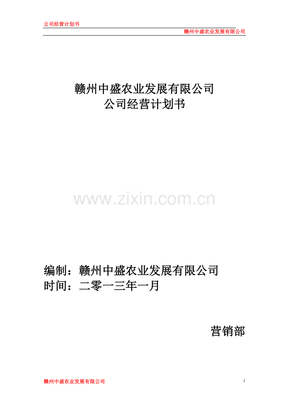 公司运营计划书模板.doc_第1页