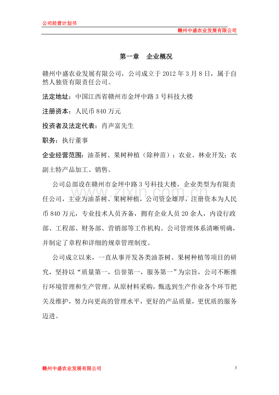 公司运营计划书模板.doc_第3页