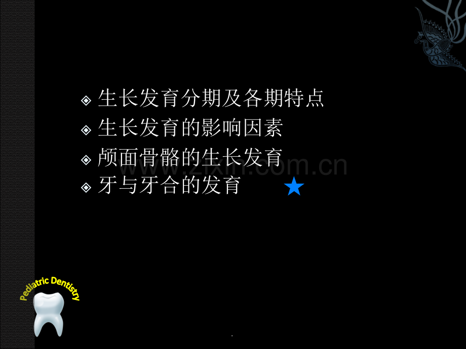 口腔颌面生长发育.ppt_第3页