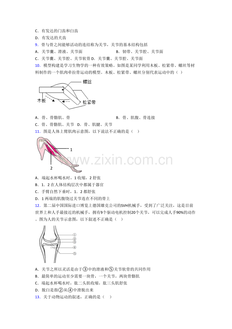 初二上册期末生物综合检测试题答案[001].doc_第2页