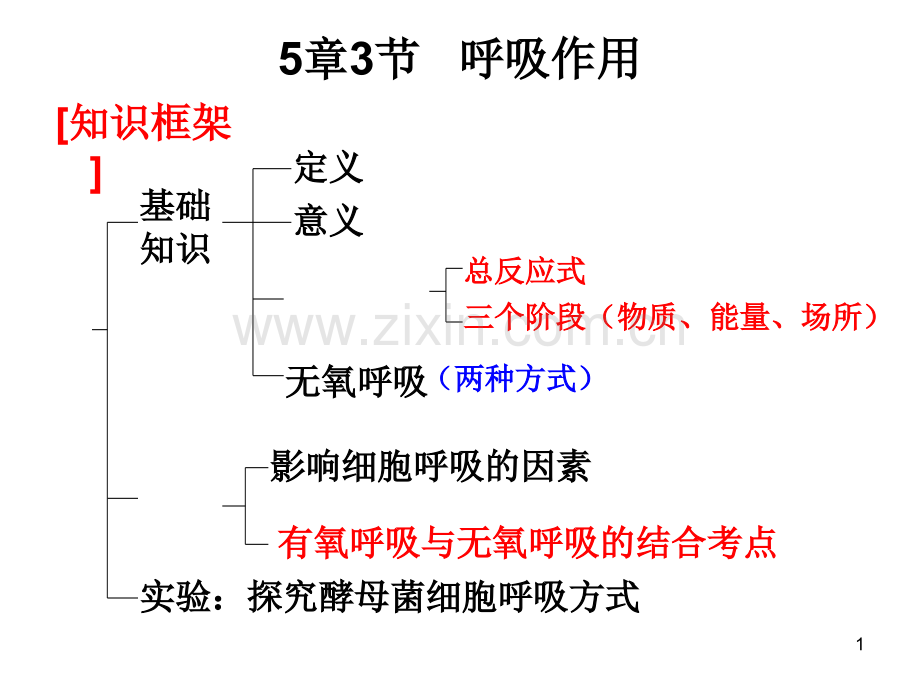 一轮复习呼吸作用.ppt_第1页