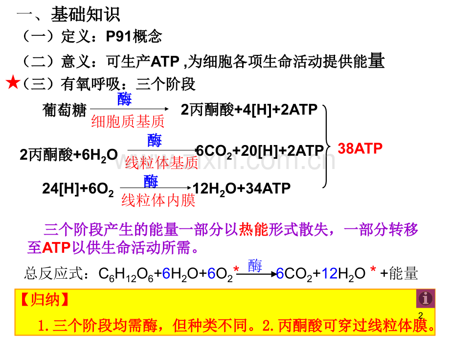 一轮复习呼吸作用.ppt_第2页