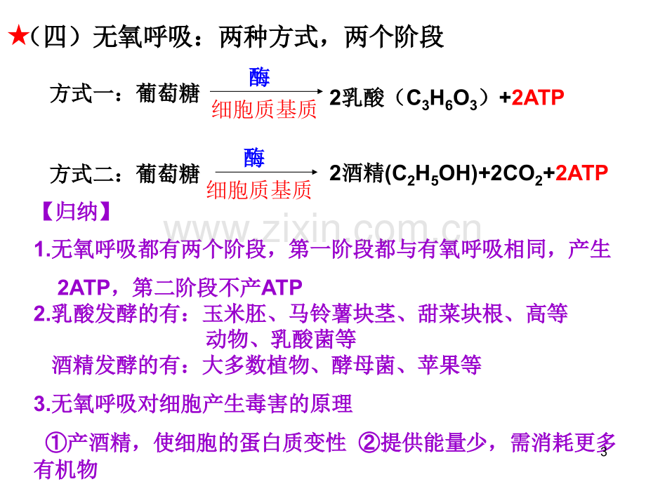 一轮复习呼吸作用.ppt_第3页