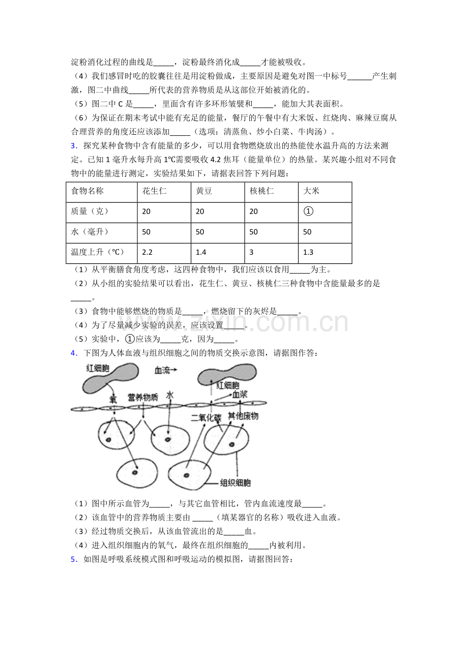 2022年人教版初一下册生物期末解答实验探究大题质量检测试卷(含解析)优秀.doc_第2页