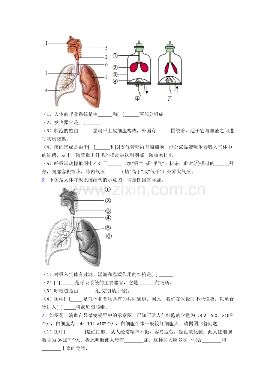 2022年人教版初一下册生物期末解答实验探究大题质量检测试卷(含解析)优秀.doc_第3页