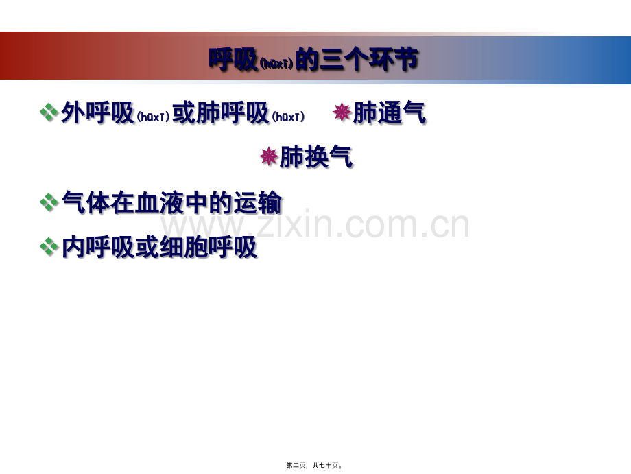 第七章-呼吸系统的结构与功能分解.ppt_第2页