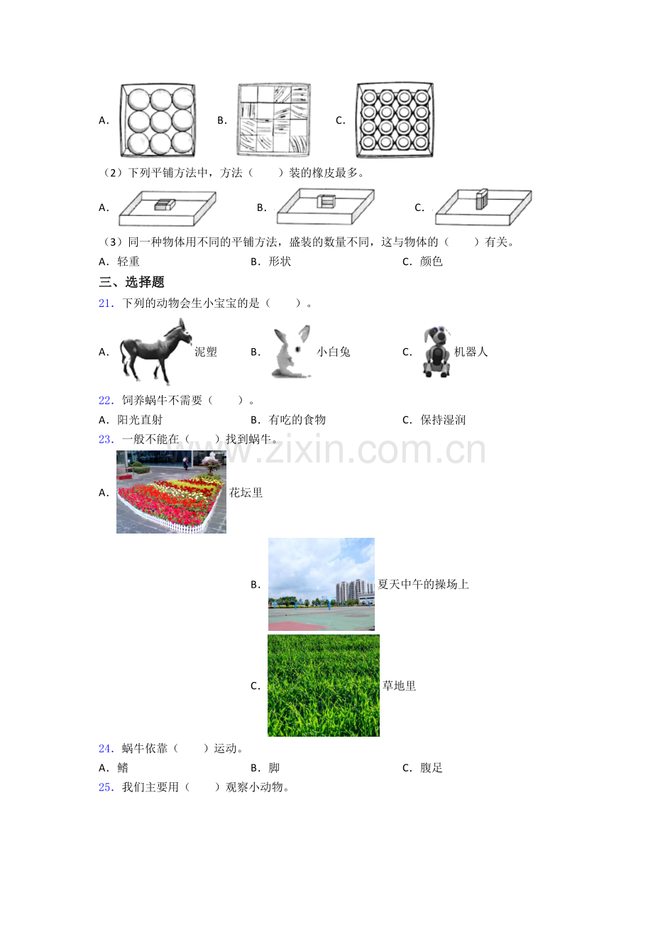 教科版一年级下册科学期末试卷培优测试卷.doc_第3页