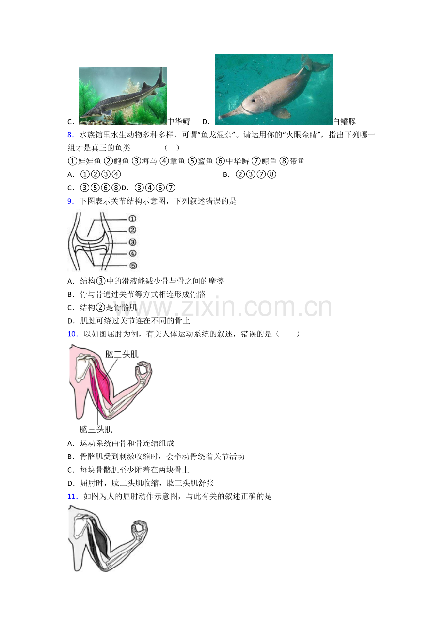 初二生物上学期期末强化综合试卷带解析(一).doc_第2页