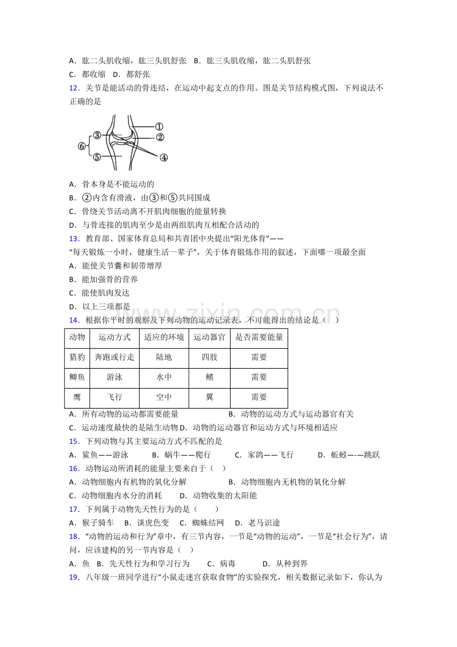 初二生物上学期期末强化综合试卷带解析(一).doc_第3页