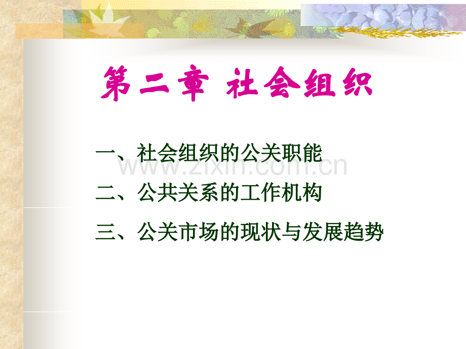 第二章社会组织.ppt_第1页