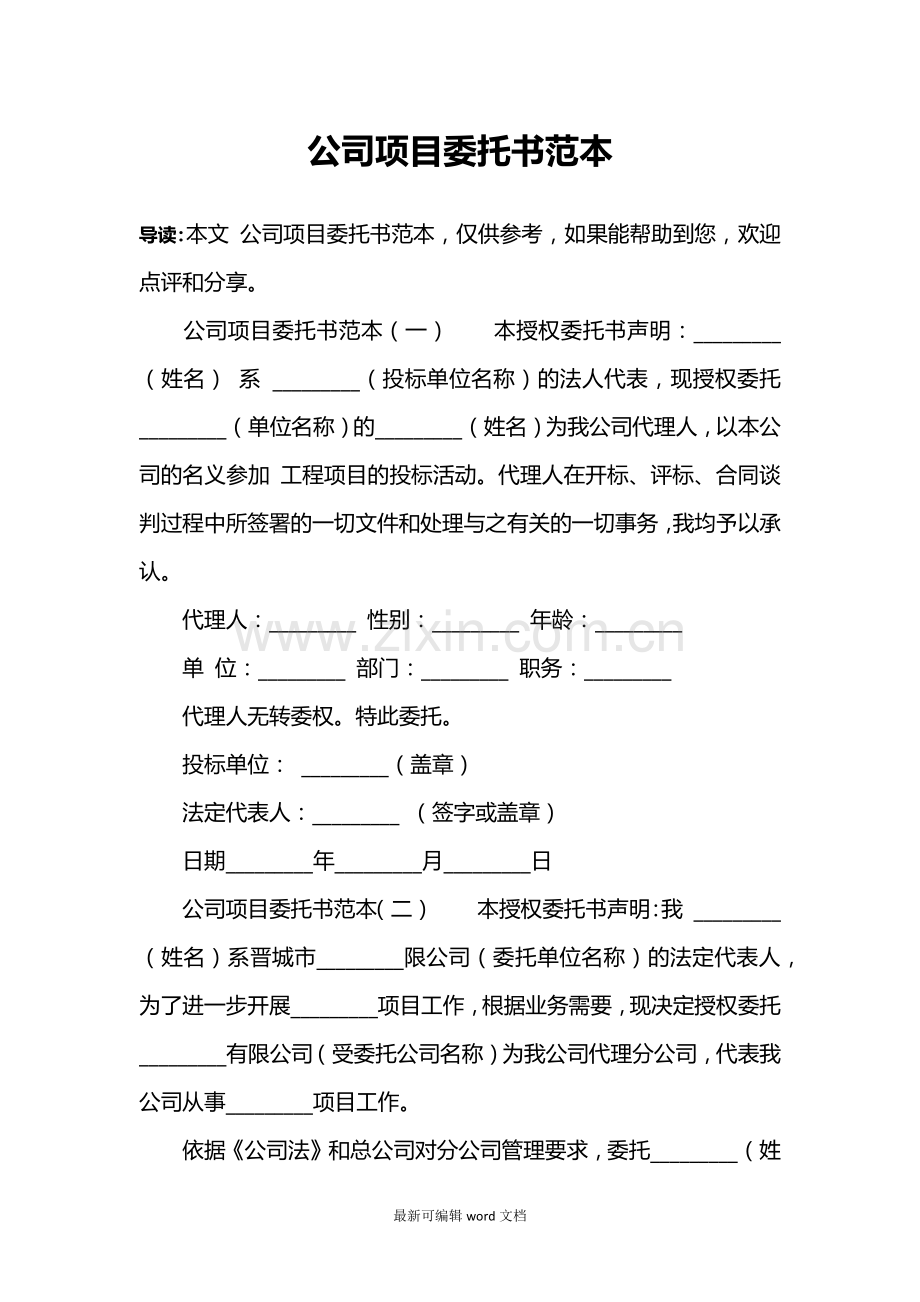 公司项目委托书范本.doc_第1页