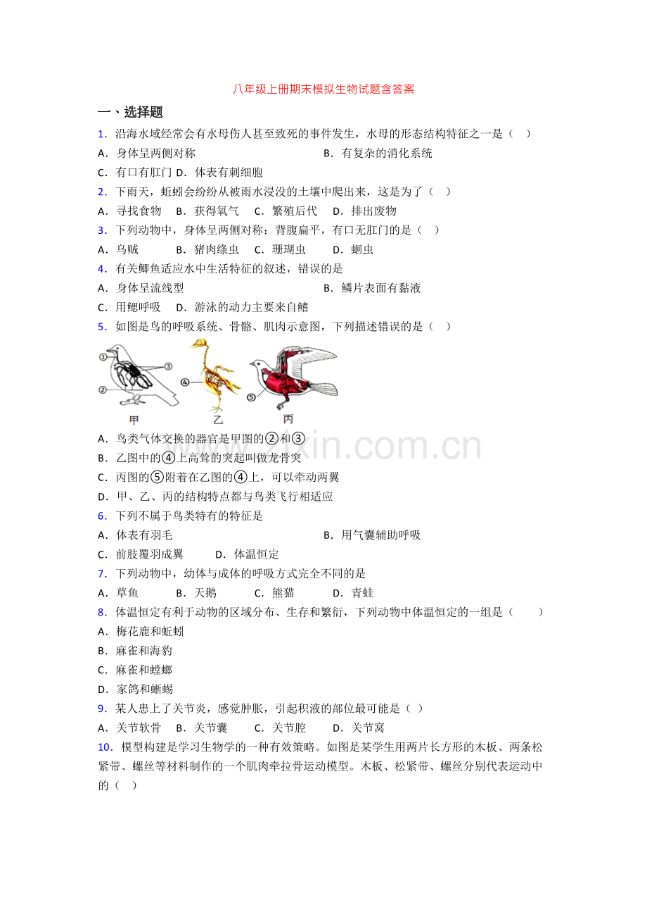 八年级上册期末模拟生物试题含答案.doc_第1页