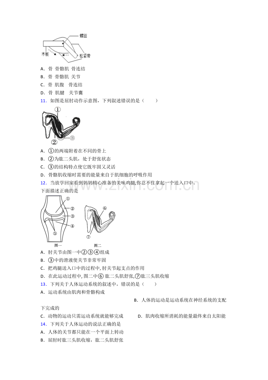 八年级上册期末模拟生物试题含答案.doc_第2页