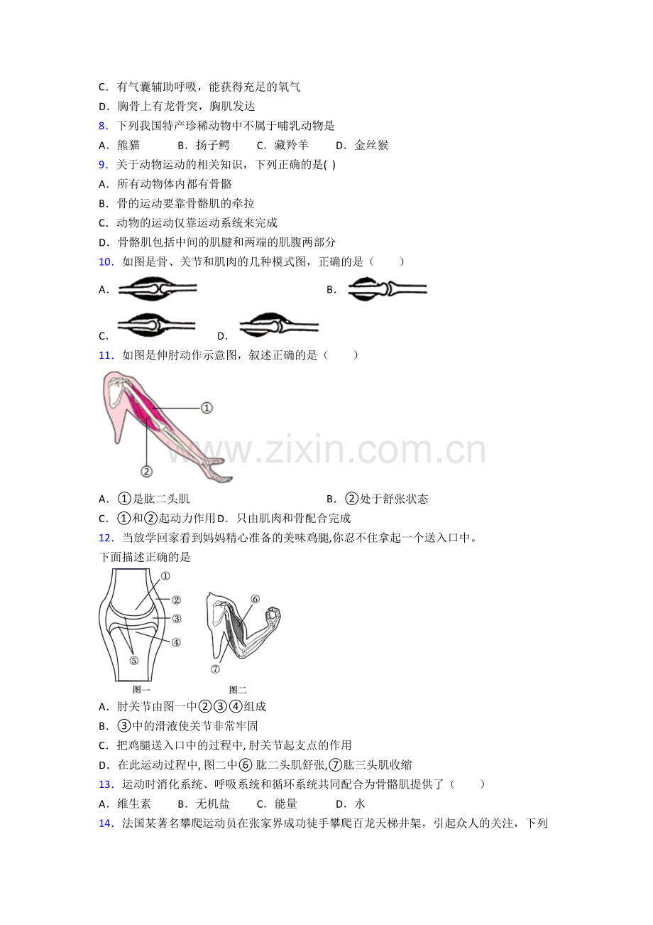 初二生物上学期期末模拟综合试题带解析(一).doc_第2页