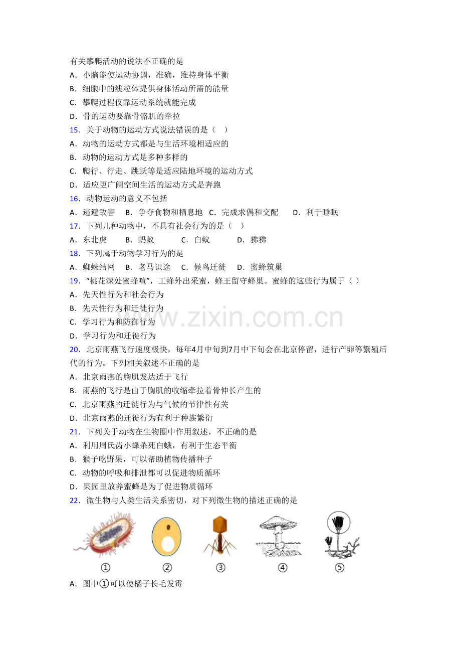 初二生物上学期期末模拟综合试题带解析(一).doc_第3页