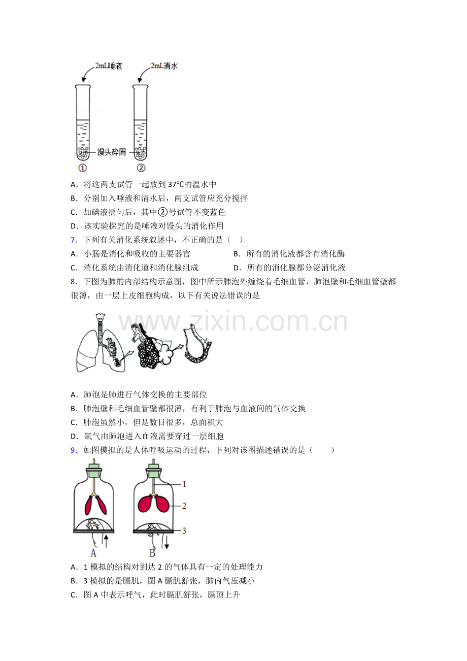 2023年人教版中学初一下册生物期中复习(及解析)图文.doc_第2页